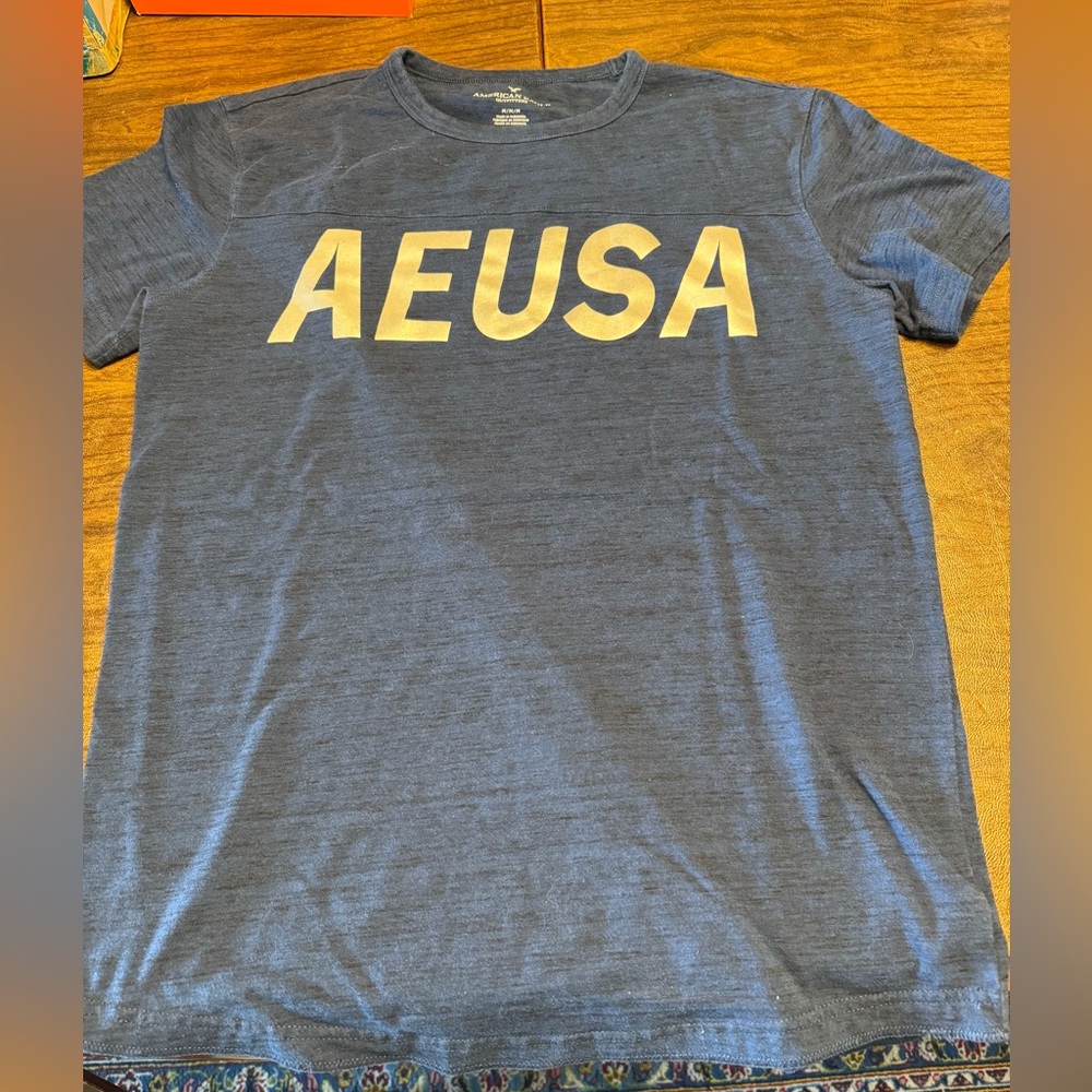 American Eagle Mens Blue T-Shirt AEUSA Sz Medium AEO